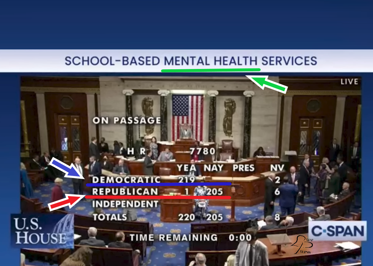 High Quality House Vote on Mental Health Blank Meme Template