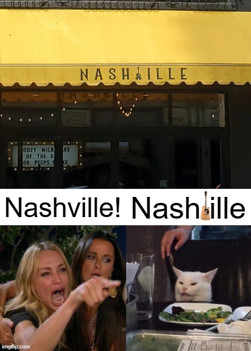 ??????? | Nashville! Nash ille | image tagged in memes,woman yelling at cat,you had one job,funny | made w/ Imgflip meme maker