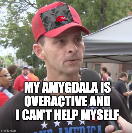 Trump supporter | MY AMYGDALA IS OVERACTIVE AND I CAN'T HELP MYSELF | image tagged in trump supporter | made w/ Imgflip meme maker