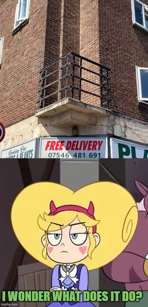 I wonder what does it do? | I WONDER WHAT DOES IT DO? | image tagged in star butterfly,star vs the forces of evil,you had one job,memes | made w/ Imgflip meme maker