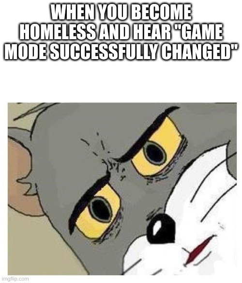 guys this happened how do i change it | WHEN YOU BECOME HOMELESS AND HEAR "GAME MODE SUCCESSFULLY CHANGED" | image tagged in unsettled tom | made w/ Imgflip meme maker