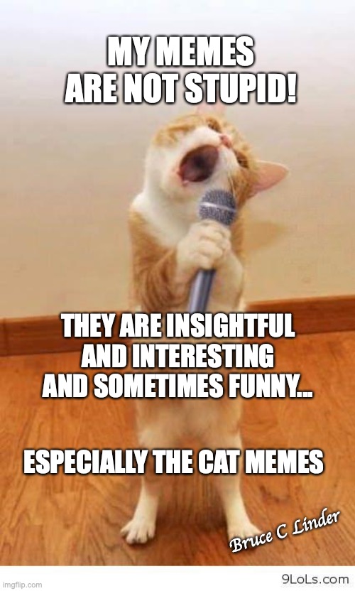My Memes are Great | MY MEMES ARE NOT STUPID! THEY ARE INSIGHTFUL AND INTERESTING AND SOMETIMES FUNNY... ESPECIALLY THE CAT MEMES; Bruce C Linder | image tagged in cats,singing cat,cat with a microphone,meow mix,cat karaoke,a cat singing the blues | made w/ Imgflip meme maker