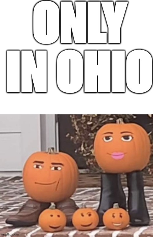 ONLY IN OHIO | image tagged in pumpkins with roblox faces | made w/ Imgflip meme maker