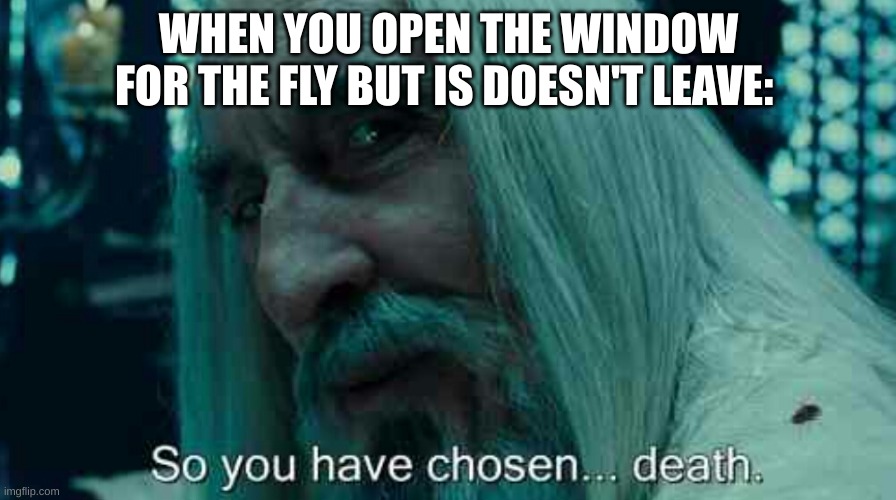 So you have chosen death | WHEN YOU OPEN THE WINDOW FOR THE FLY BUT IS DOESN'T LEAVE: | image tagged in so you have chosen death | made w/ Imgflip meme maker