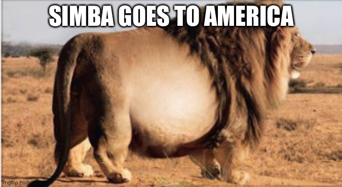 I saw this on an ad | SIMBA GOES TO AMERICA | image tagged in fat lion | made w/ Imgflip meme maker
