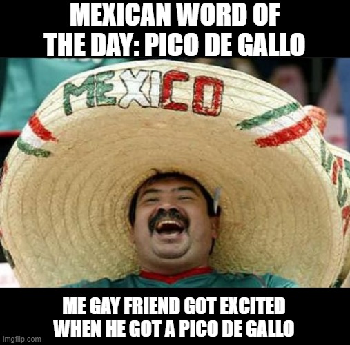 Mexican Excitement | MEXICAN WORD OF THE DAY: PICO DE GALLO; ME GAY FRIEND GOT EXCITED WHEN HE GOT A PICO DE GALLO | image tagged in mexican word of the day | made w/ Imgflip meme maker