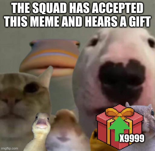 The council remastered | THE SQUAD HAS ACCEPTED THIS MEME AND HEARS A GIFT X9999 | image tagged in the council remastered | made w/ Imgflip meme maker