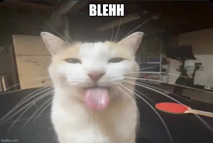 blehh | BLEHH | image tagged in blehh cat | made w/ Imgflip meme maker