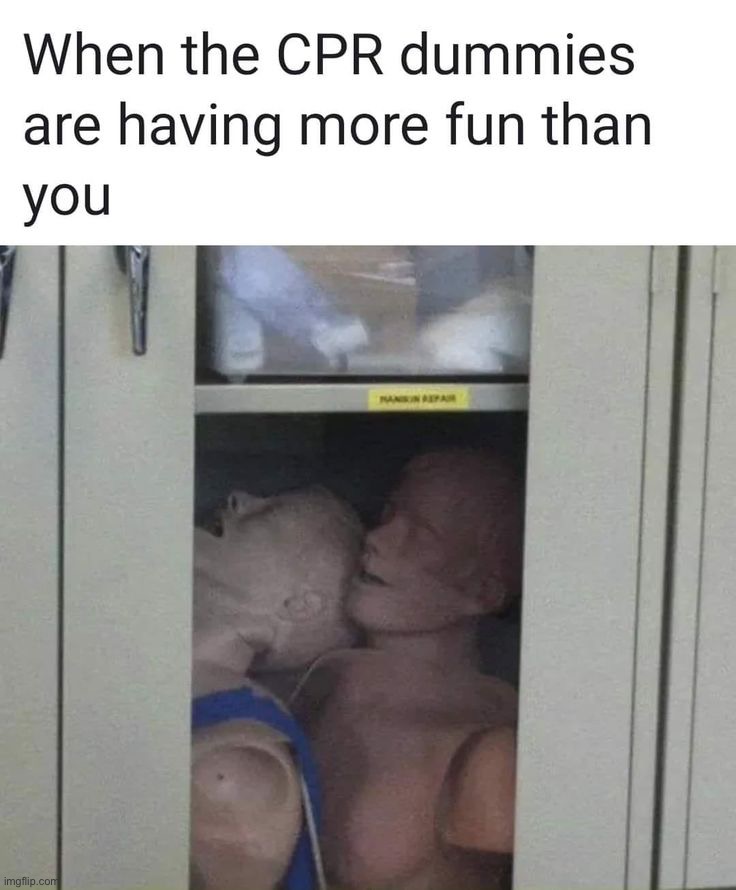 image tagged in memes | made w/ Imgflip meme maker