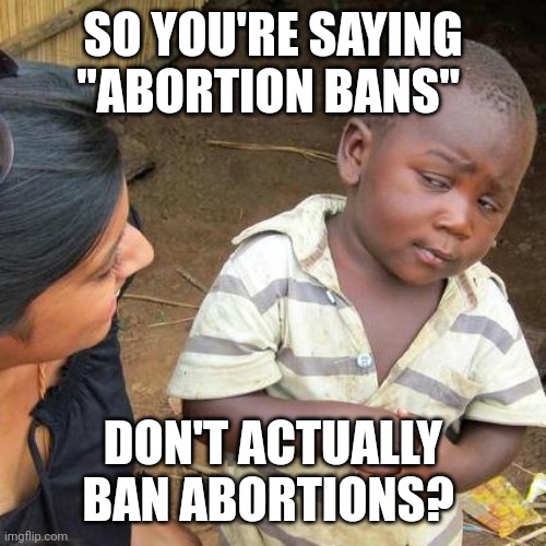 Abortion Bans Stink | SO YOU'RE SAYING "ABORTION BANS"; DON'T ACTUALLY BAN ABORTIONS? | image tagged in memes,third world skeptical kid,abortion,abortion is murder,abolition,prolife | made w/ Imgflip meme maker