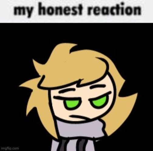 image tagged in my honest reaction | made w/ Imgflip meme maker