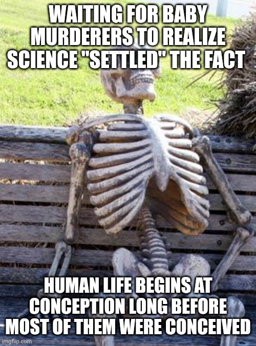 Human Being at Conception: Settled Science | WAITING FOR BABY MURDERERS TO REALIZE SCIENCE "SETTLED" THE FACT; HUMAN LIFE BEGINS AT CONCEPTION LONG BEFORE MOST OF THEM WERE CONCEIVED | image tagged in memes,waiting skeleton,abortion is murder,prolife,abolition,medicine | made w/ Imgflip meme maker