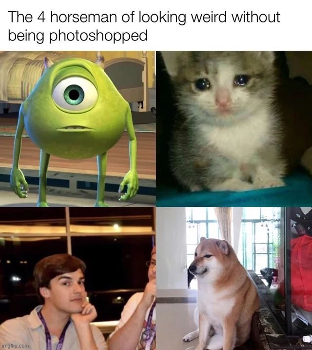 image tagged in memes | made w/ Imgflip meme maker