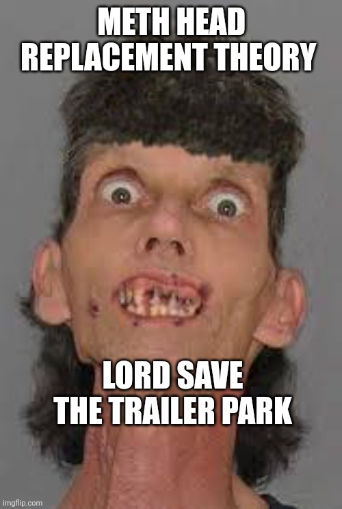 Meth Zombeh | METH HEAD REPLACEMENT THEORY LORD SAVE THE TRAILER PARK | image tagged in meth zombeh | made w/ Imgflip meme maker