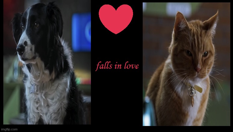 what if roger fell in love with gwen | image tagged in what if a character falls in love,warner bros,dogs,cats | made w/ Imgflip meme maker