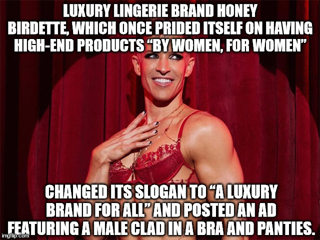 Luxury lingerie brand Honey Birdette, which once prided itself on having high-end products “by women, for women,” changed its sl | LUXURY LINGERIE BRAND HONEY BIRDETTE, WHICH ONCE PRIDED ITSELF ON HAVING HIGH-END PRODUCTS “BY WOMEN, FOR WOMEN”; CHANGED ITS SLOGAN TO “A LUXURY BRAND FOR ALL” AND POSTED AN AD FEATURING A MALE CLAD IN A BRA AND PANTIES. | image tagged in honey birdette,lingerie | made w/ Imgflip meme maker