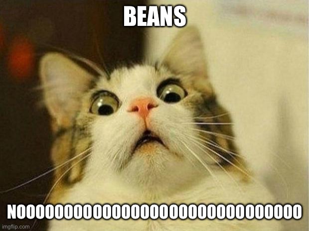 Scared Cat | BEANS; NOOOOOOOOOOOOOOOOOOOOOOOOOOOOOO | image tagged in memes,scared cat | made w/ Imgflip meme maker