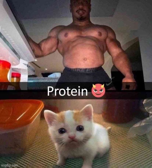 Protein | made w/ Imgflip meme maker