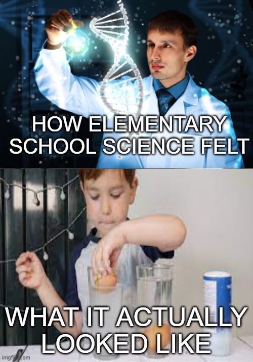 lol im probably on some kind of list now after looking up "dumb child puts egg into water" | HOW ELEMENTARY SCHOOL SCIENCE FELT; WHAT IT ACTUALLY LOOKED LIKE | image tagged in school | made w/ Imgflip meme maker