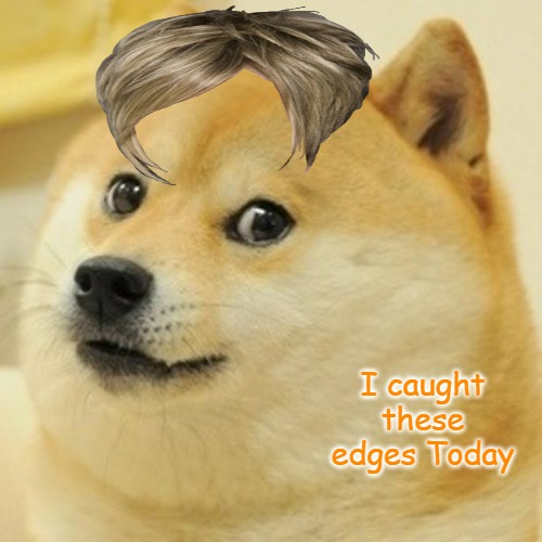 Doge | I caught these edges Today | image tagged in memes,doge | made w/ Imgflip meme maker