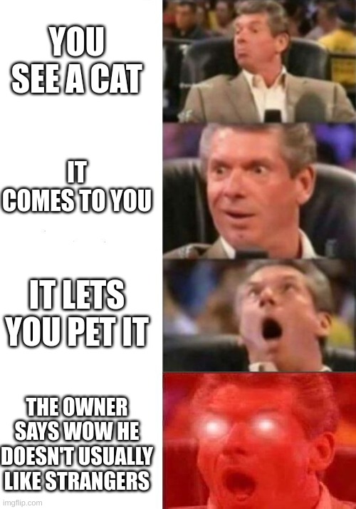 its the best feeling tbh | YOU SEE A CAT; IT COMES TO YOU; IT LETS YOU PET IT; THE OWNER SAYS WOW HE DOESN'T USUALLY LIKE STRANGERS | image tagged in mr mcmahon reaction | made w/ Imgflip meme maker