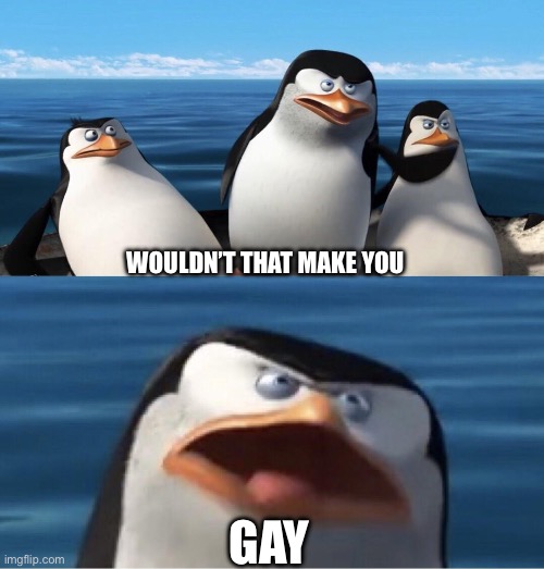 Wouldn't that make you | WOULDN’T THAT MAKE YOU GAY | image tagged in wouldn't that make you | made w/ Imgflip meme maker