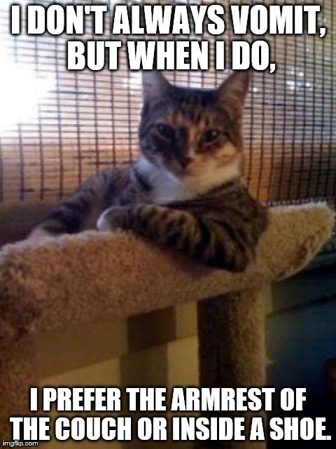 Throw rugs or anywhere carpeted will do too. | I DON'T ALWAYS VOMIT, BUT WHEN I DO, I PREFER THE ARMREST OF THE COUCH OR INSIDE A SHOE. | image tagged in memes,the most interesting cat in the world | made w/ Imgflip meme maker