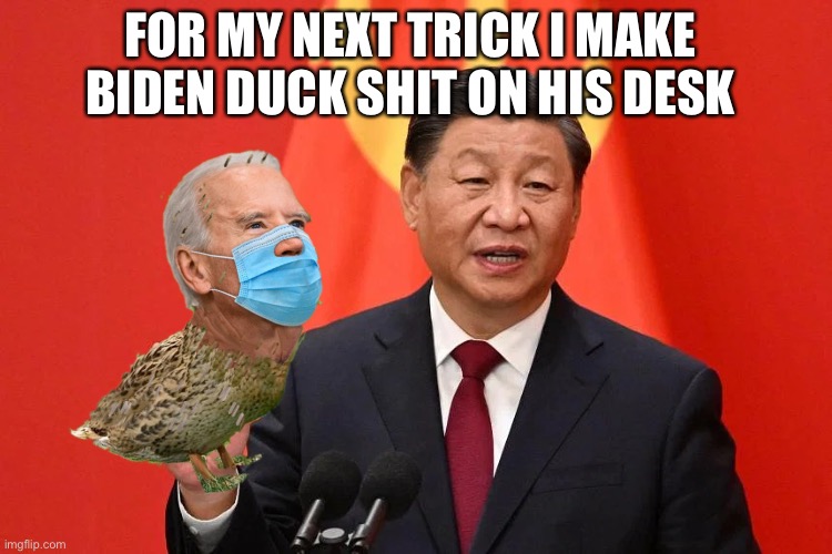 The China Biden Collusion | FOR MY NEXT TRICK I MAKE BIDEN DUCK SHIT ON HIS DESK | image tagged in chi chi holding a schlong,bidenduck,is transparent,your welcome | made w/ Imgflip meme maker
