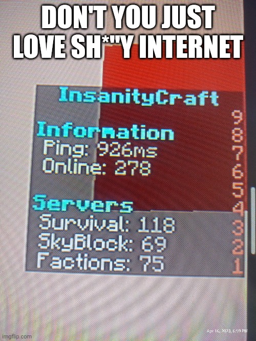 DON'T YOU JUST LOVE SH*"Y INTERNET | image tagged in minecraft | made w/ Imgflip meme maker