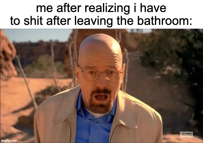 shit | me after realizing i have to shit after leaving the bathroom: | image tagged in breaking bad,shit | made w/ Imgflip meme maker