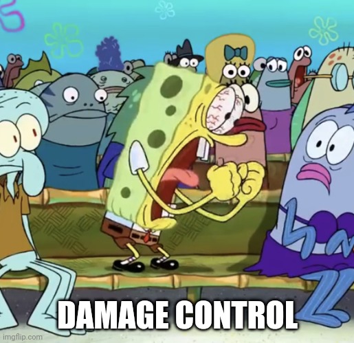 Spongebob Yelling | DAMAGE CONTROL | image tagged in spongebob yelling | made w/ Imgflip meme maker