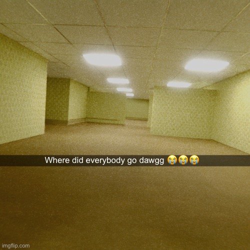 backrooms | Where did everybody go dawgg 😭😭😭 | made w/ Imgflip meme maker