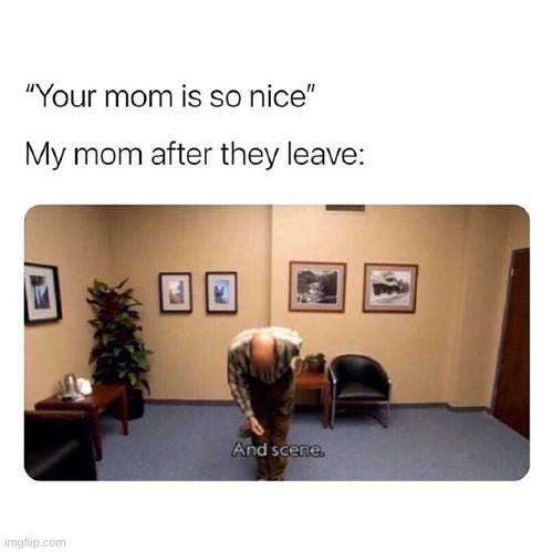 her fr | image tagged in mom | made w/ Imgflip meme maker