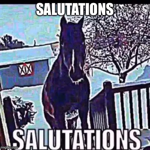 salutations my good friend | SALUTATIONS | image tagged in salutations horse | made w/ Imgflip meme maker