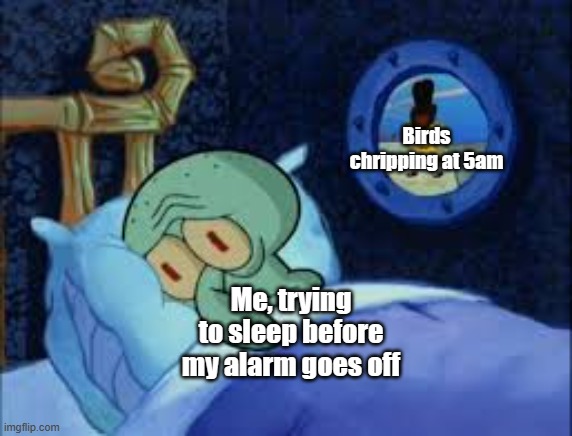 For me, this happens every morning at 5am | Birds chripping at 5am; Me, trying to sleep before my alarm goes off | image tagged in squidward can't sleep with the spoons rattling,birds,morning,mornings,funny memes | made w/ Imgflip meme maker