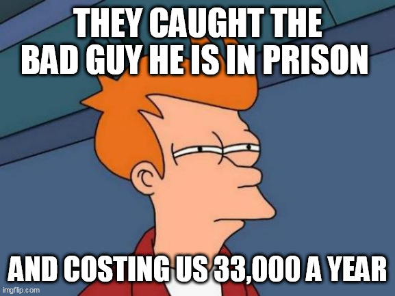 Futurama Fry | THEY CAUGHT THE BAD GUY HE IS IN PRISON; AND COSTING US 33,000 A YEAR | image tagged in memes,futurama fry | made w/ Imgflip meme maker