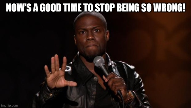 Now's a good time | NOW'S A GOOD TIME TO STOP BEING SO WRONG! | image tagged in stop kevin hart,now's a good time,wrong,stop,time | made w/ Imgflip meme maker