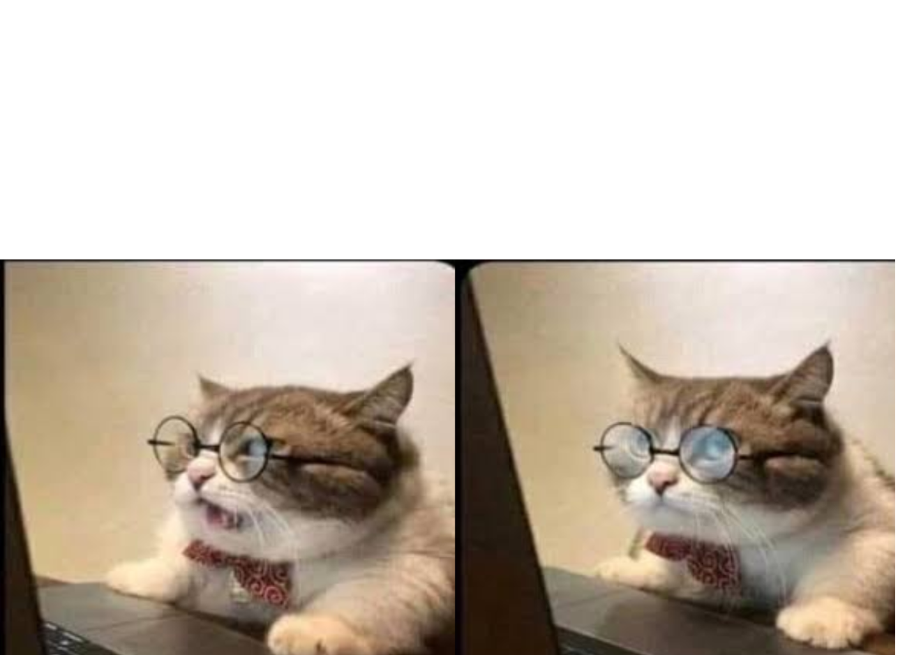 High Quality Cat bored at work Blank Meme Template