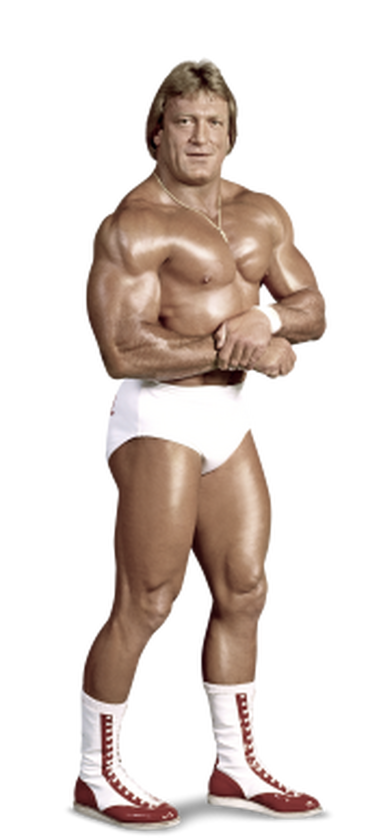 Paul Orndorff with transparency Blank Meme Template