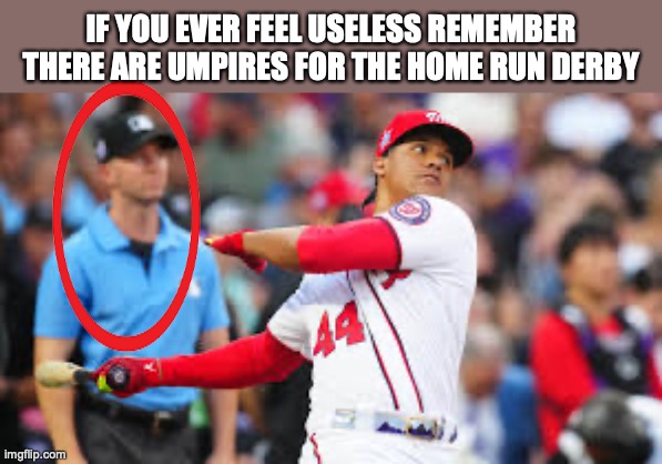 why? | IF YOU EVER FEEL USELESS REMEMBER THERE ARE UMPIRES FOR THE HOME RUN DERBY | image tagged in remember,useless | made w/ Imgflip meme maker