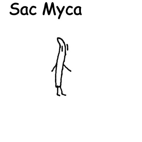 Sac Myca Blank Meme Template