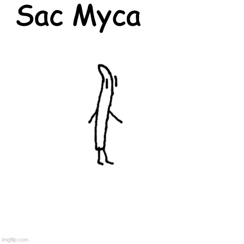 gremlin one | Sac Myca | made w/ Imgflip meme maker