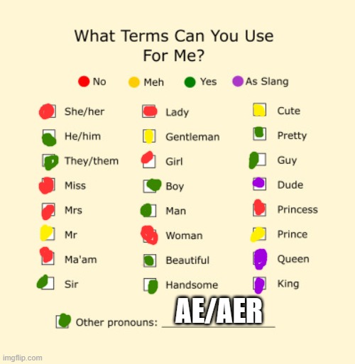 Pronouns Sheet | AE/AER | image tagged in pronouns sheet | made w/ Imgflip meme maker