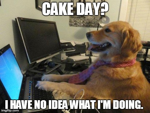 i have no idea | CAKE DAY? I HAVE NO IDEA WHAT I'M DOING. | image tagged in i have no idea | made w/ Imgflip meme maker