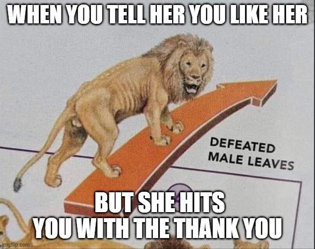 zzzz | WHEN YOU TELL HER YOU LIKE HER; BUT SHE HITS YOU WITH THE THANK YOU | image tagged in defeated male leaves | made w/ Imgflip meme maker