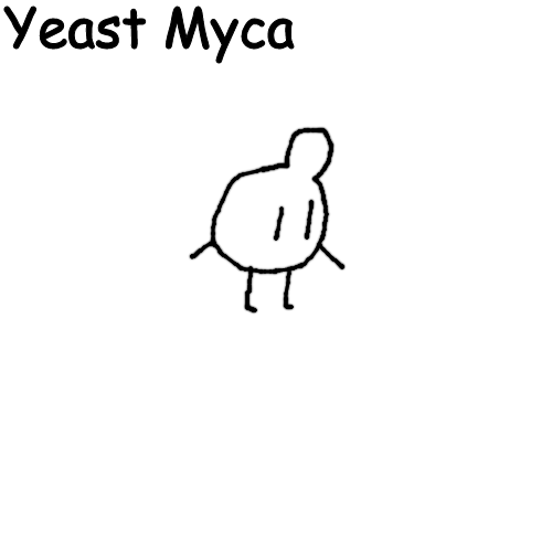 High Quality Yeast Myca Blank Meme Template