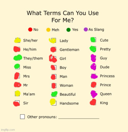my pronouns | image tagged in pronouns sheet | made w/ Imgflip meme maker