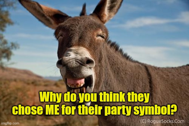 Donkey Jackass Braying | Why do you think they chose ME for their party symbol? | image tagged in donkey jackass braying | made w/ Imgflip meme maker