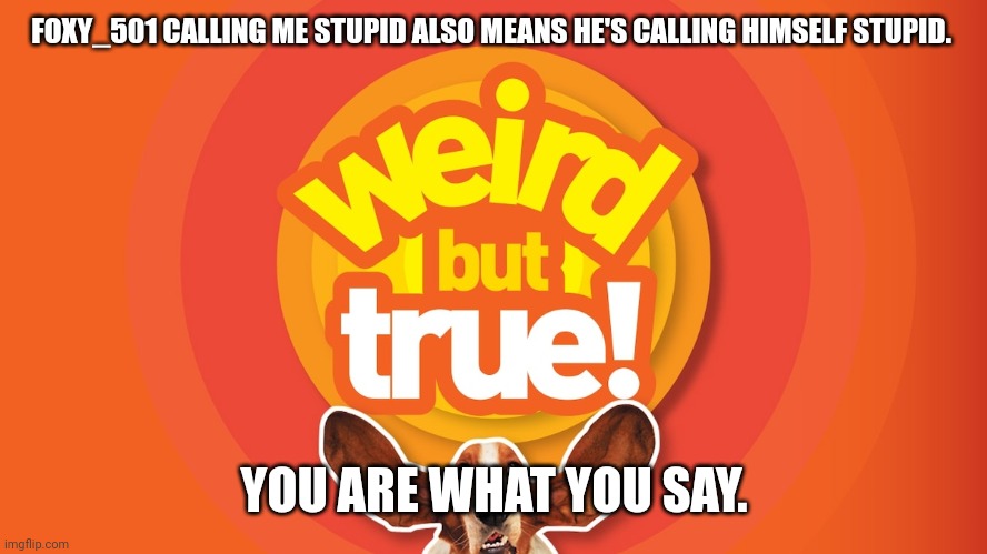 You Are What You Say | FOXY_501 CALLING ME STUPID ALSO MEANS HE'S CALLING HIMSELF STUPID. YOU ARE WHAT YOU SAY. | image tagged in weird but true | made w/ Imgflip meme maker