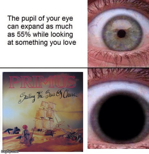 PRIMUS | image tagged in memes | made w/ Imgflip meme maker